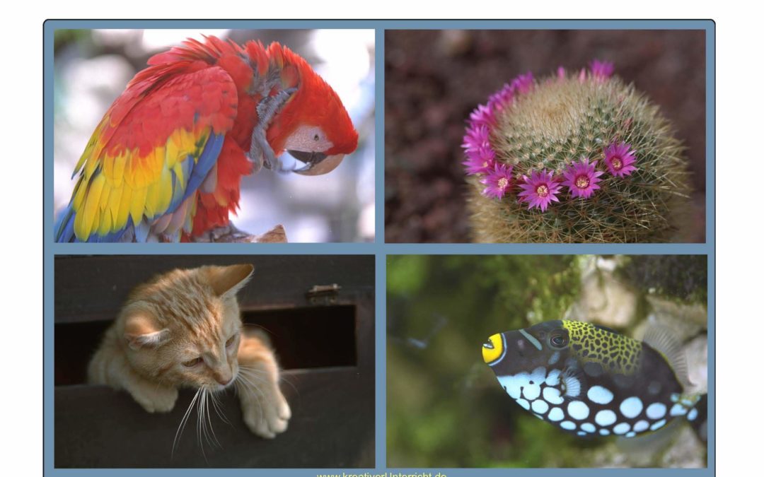 Vier Kennzeichen der Natur